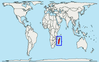 Madagascar