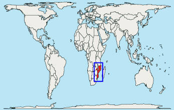 Mozambico