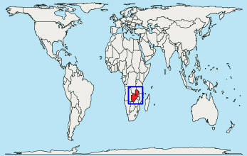 Zambia 