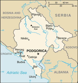 Carta politica